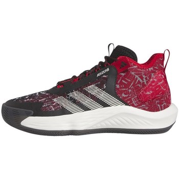 Schuhe Herren Basketballschuhe adidas Originals Adizero Select Rot, Schwarz