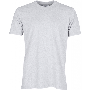 Kleidung T-Shirts Colorful Standard T-shirt  Classic Organic snow melange Grau