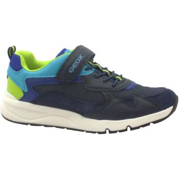 Schuhe Kinder Sneaker Low Geox GEO-E23-J26H0C-NL-b Blau
