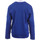 Kleidung Jungen Sweatshirts adidas Originals EY2492 Blau