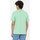 Kleidung Herren T-Shirts & Poloshirts Dickies Ss mapleton t-shirt Grün