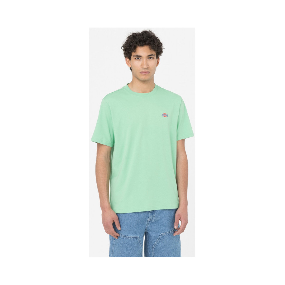 Kleidung Herren T-Shirts & Poloshirts Dickies Ss mapleton t-shirt Grün