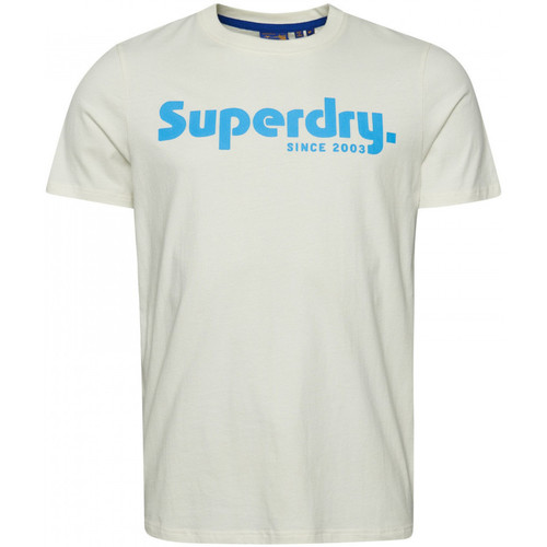 Kleidung Herren T-Shirts & Poloshirts Superdry Vintage terrain classic Weiss