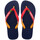 Schuhe Herren Zehensandalen Havaianas BRASIL MIX Blau / Rot