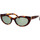 Uhren & Schmuck Damen Sonnenbrillen Yves Saint Laurent Sonnenbrille Saint Laurent SL M115 003 Braun