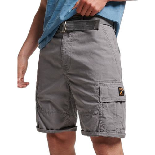 Kleidung Herren Shorts / Bermudas Superdry Short cargo  Heavy Grau