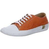 Schuhe Damen Derby-Schuhe & Richelieu Andrea Conti Schnuerschuhe 0025903 0025903-044 orange