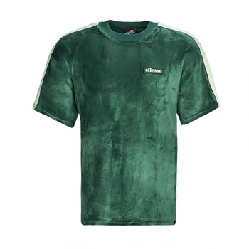 Kleidung Herren T-Shirts Ellesse LORETTI Grün