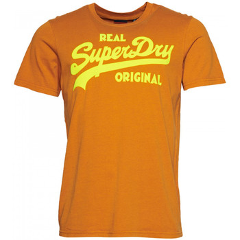 Kleidung Herren T-Shirts & Poloshirts Superdry Vintage vl neon Braun