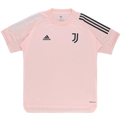 Kleidung Herren T-Shirts & Poloshirts adidas Originals FR4269 Rosa