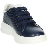 Schuhe Kinder Sneaker High Cesare Paciotti 42350 Blau