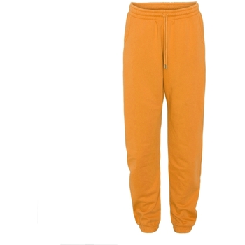 Kleidung Hosen Colorful Standard Jogging  Organic sunny orange Orange