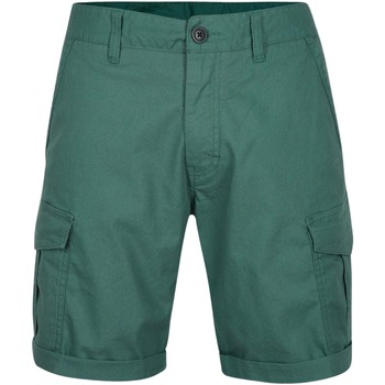 Kleidung Herren Shorts / Bermudas O'neill Short  Beach Break Cargo Blau