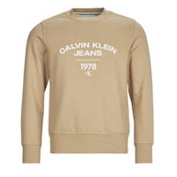 Kleidung Herren Sweatshirts Calvin Klein Jeans VARSITY CURVE CREW NECK Beige