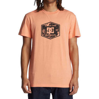Kleidung Herren T-Shirts DC Shoes Camiseta Chain Link Papaya Punch Orange