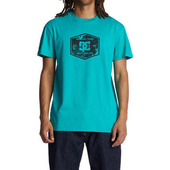 Kleidung Herren T-Shirts DC Shoes Camiseta Chain Link Columbia Grün