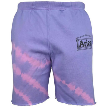 Kleidung Herren Shorts / Bermudas Aries  Violett