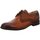 Schuhe Herren Derby-Schuhe & Richelieu Digel Business Scout 1001966-35 Braun