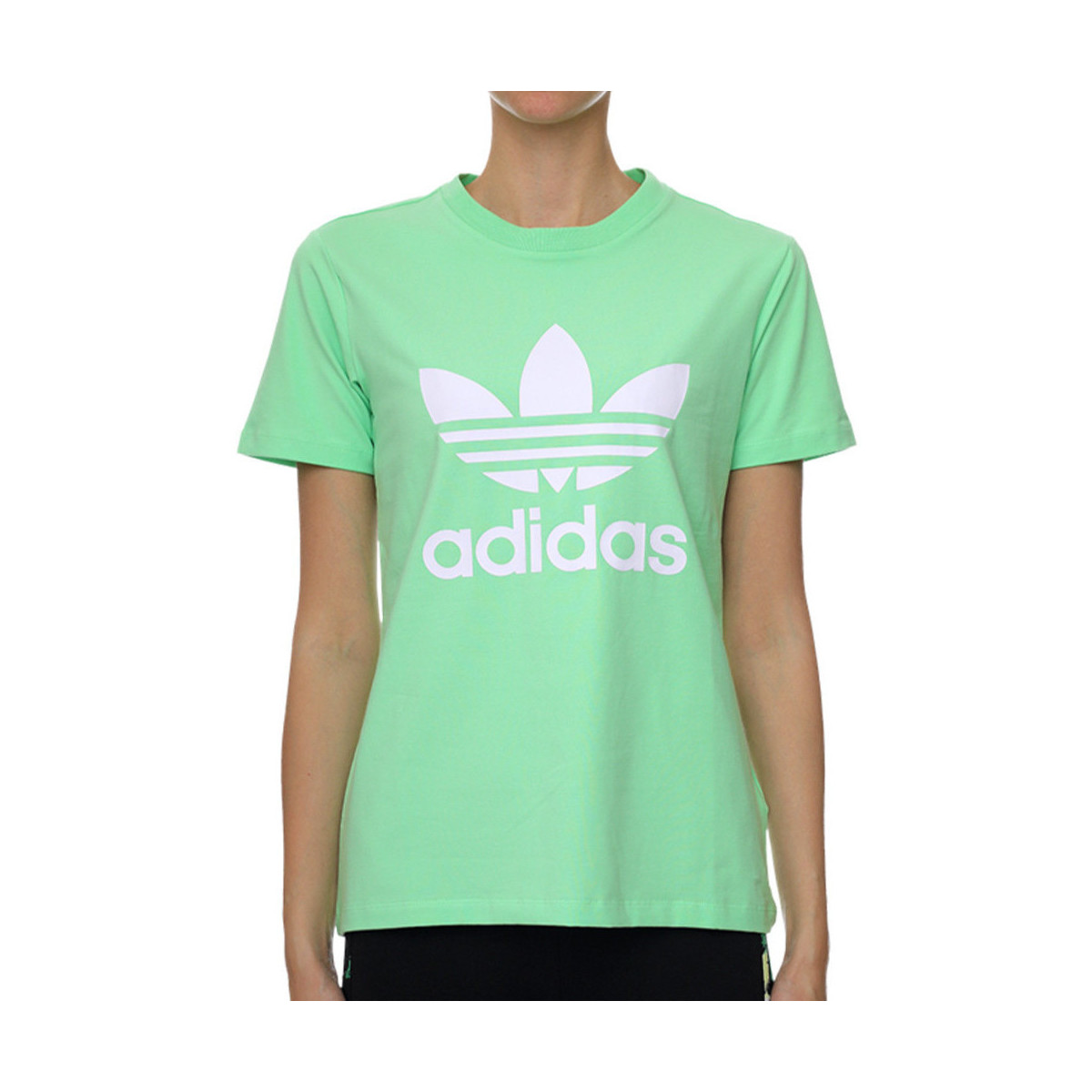 Kleidung Mädchen T-Shirts & Poloshirts adidas Originals H33564 Grün