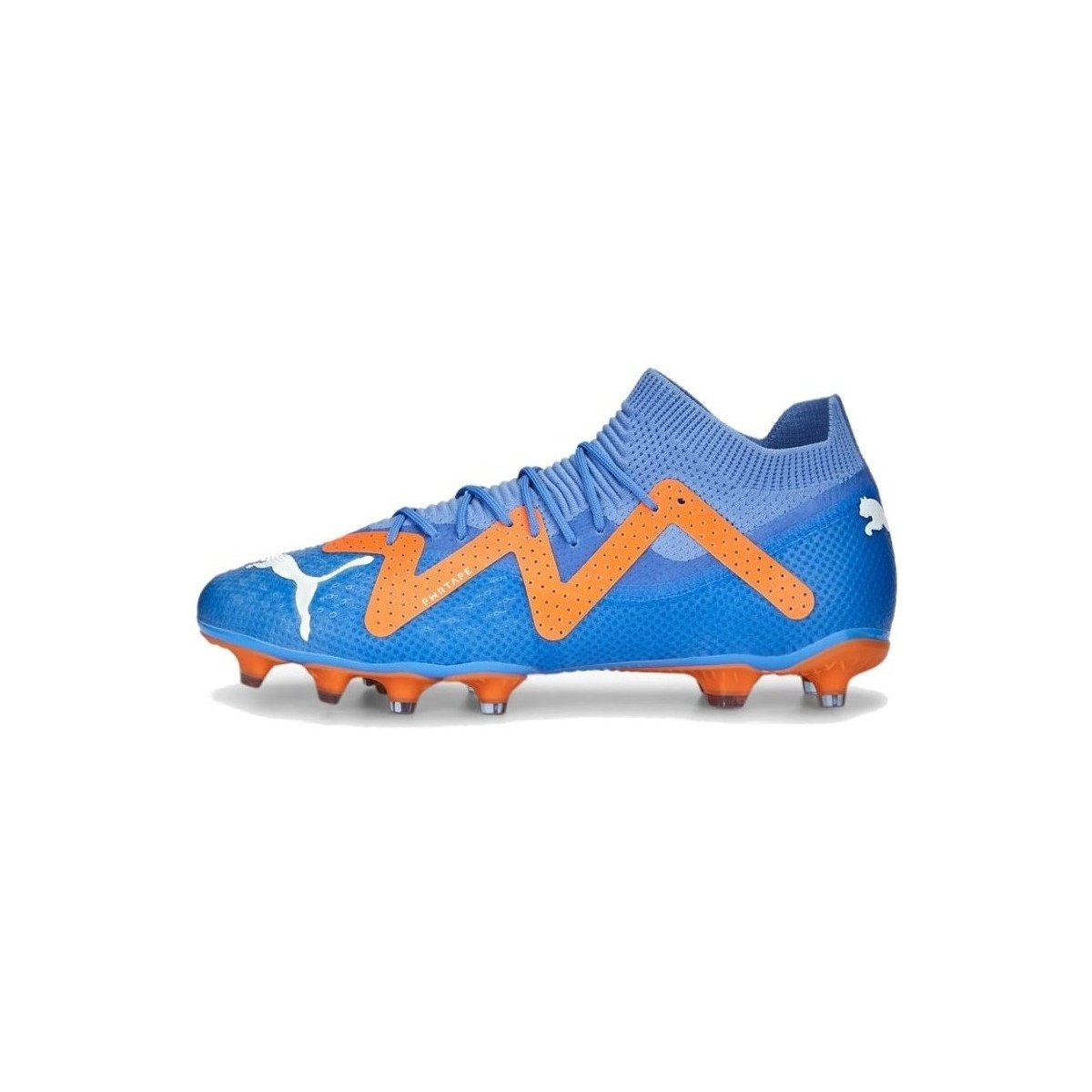 Schuhe Herren Fußballschuhe Puma Future Pro Fgag Blau