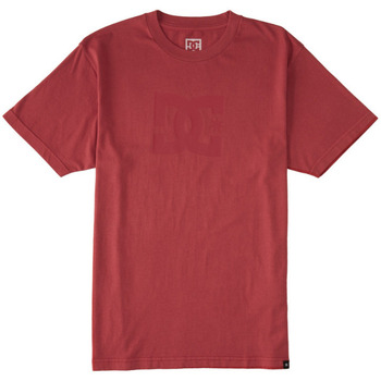 Kleidung Herren T-Shirts DC Shoes Dc Star Pigment Dye Rot