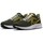 Schuhe Herren Laufschuhe Nike Pegasus 39 Grün