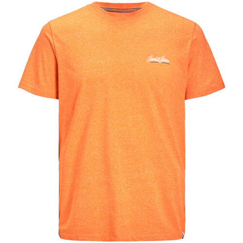 Kleidung Jungen T-Shirts & Poloshirts Jack & Jones 12237337 Orange