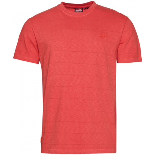 Kleidung Herren T-Shirts & Poloshirts Superdry Vintage texture Rosa