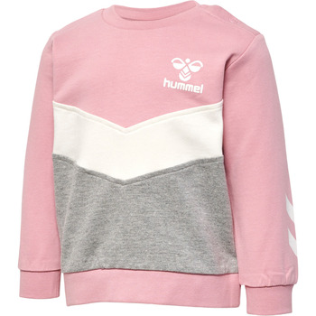 Kleidung Kinder Sweatshirts hummel Sweatshirt bébé  hmlSkye Rosa