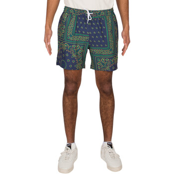 Kleidung Herren Shorts / Bermudas Iriedaily Short  Crazy Fresh Blau