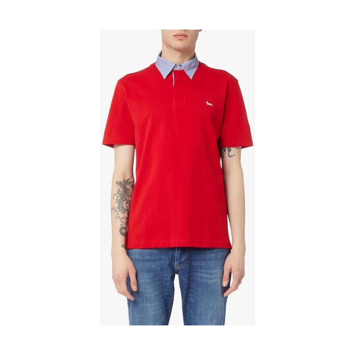Kleidung Herren T-Shirts & Poloshirts Harmont & Blaine LRJ003020004S19 Rot