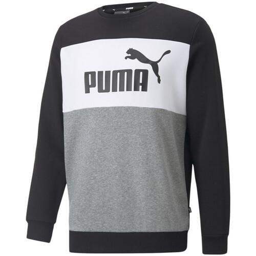 Kleidung Herren Sweatshirts Puma 670165-01 Schwarz
