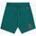 Kleidung Shorts / Bermudas Franklin & Marshall JM4033.2000P01-235 SEAFLOOR Grün