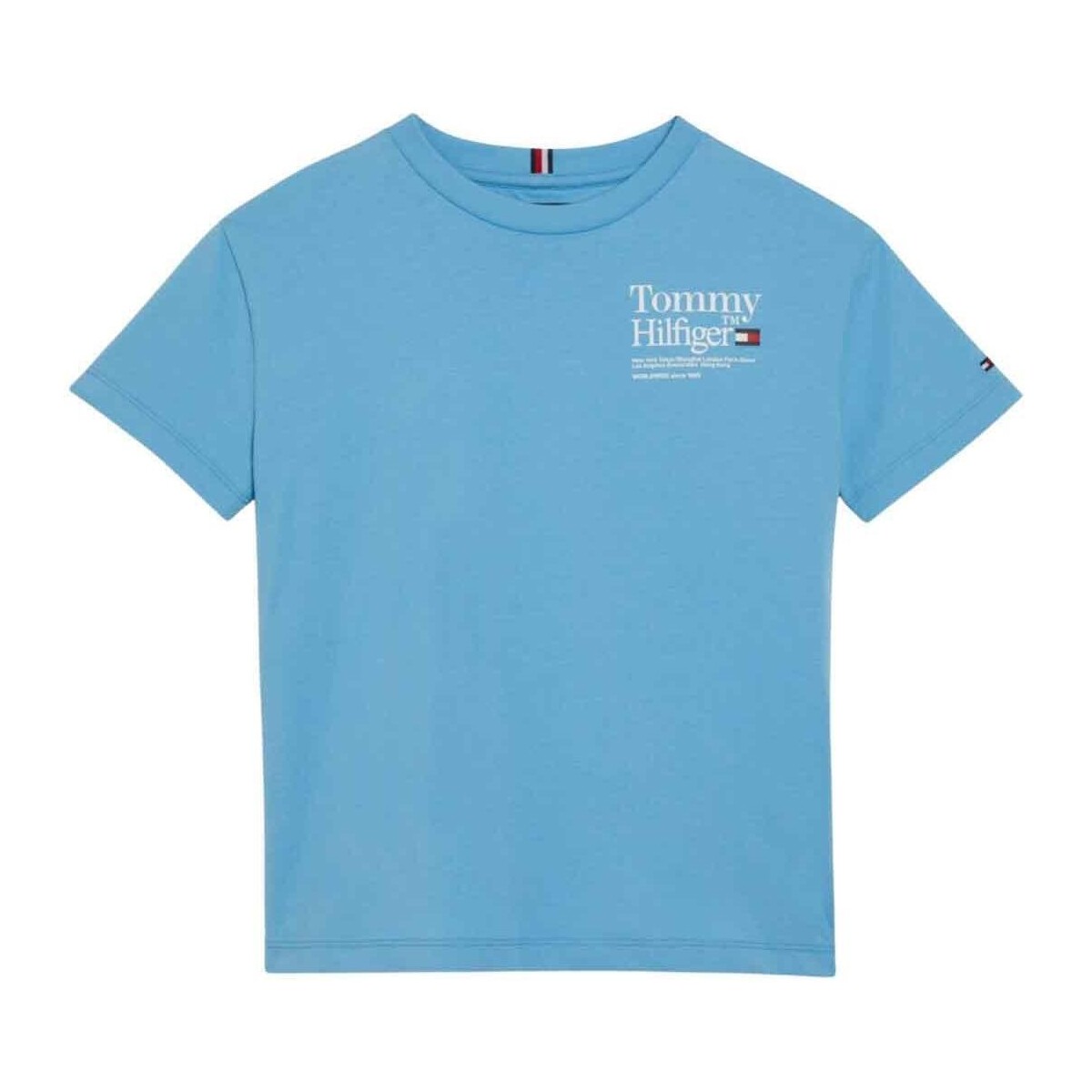 Kleidung Jungen T-Shirts & Poloshirts Tommy Hilfiger  Blau