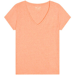 Kleidung Damen T-Shirts & Poloshirts Teddy Smith 31016422D Orange