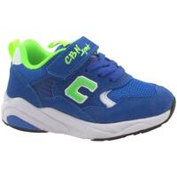 Schuhe Kinder Sneaker Low Balocchi BAL-E23-328342-RO-a Blau
