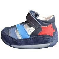 Schuhe Kinder Sneaker Falcotto ANTIBES Multicolor
