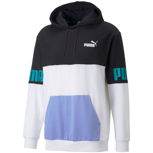 Kleidung Herren Sweatshirts Puma 849812-51 Violett