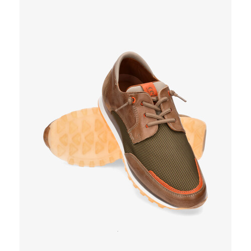 Cetti C-1275 Multicolor