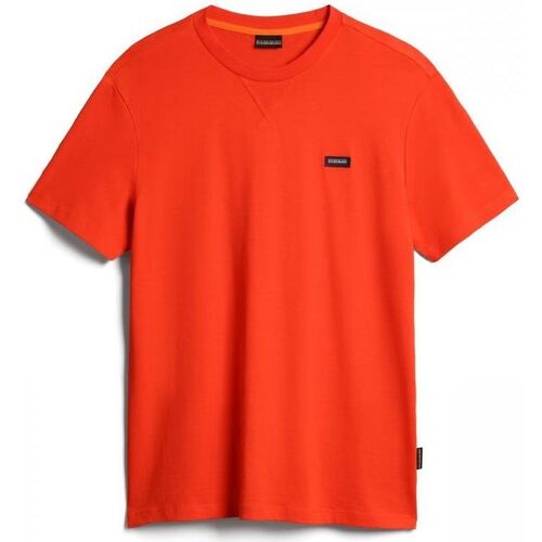 Kleidung Herren T-Shirts & Poloshirts Napapijri S-RHEMES NP0A4G36-R05 RED CHERRY Rot