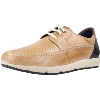 Schuhe Herren Derby-Schuhe & Richelieu Pitillos 4831P Braun