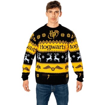 Kleidung Herren Sweatshirts Harry Potter  Multicolor