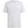 Kleidung Herren T-Shirts adidas Originals Tabela 23 Jersey M Weiss