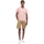 Kleidung Herren T-Shirts & Poloshirts Barbour Ryde Polo Shirt - Pink Salt Rosa