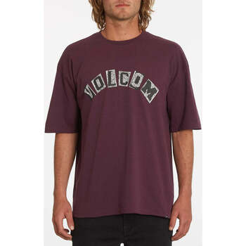 Kleidung Herren T-Shirts Volcom Camiseta  Hi School Multiberry Violett