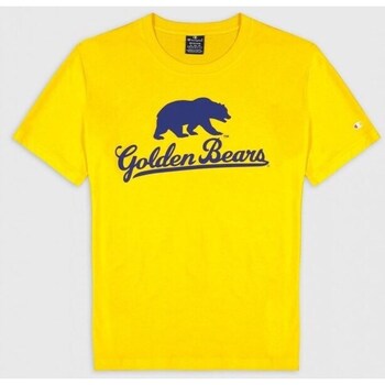 Kleidung Herren T-Shirts Champion Berkeley University Gelb