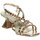 Schuhe Damen Sandalen / Sandaletten Braccialini F29 Gold