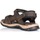 Schuhe Herren Sportliche Sandalen Paredes 22172 Braun