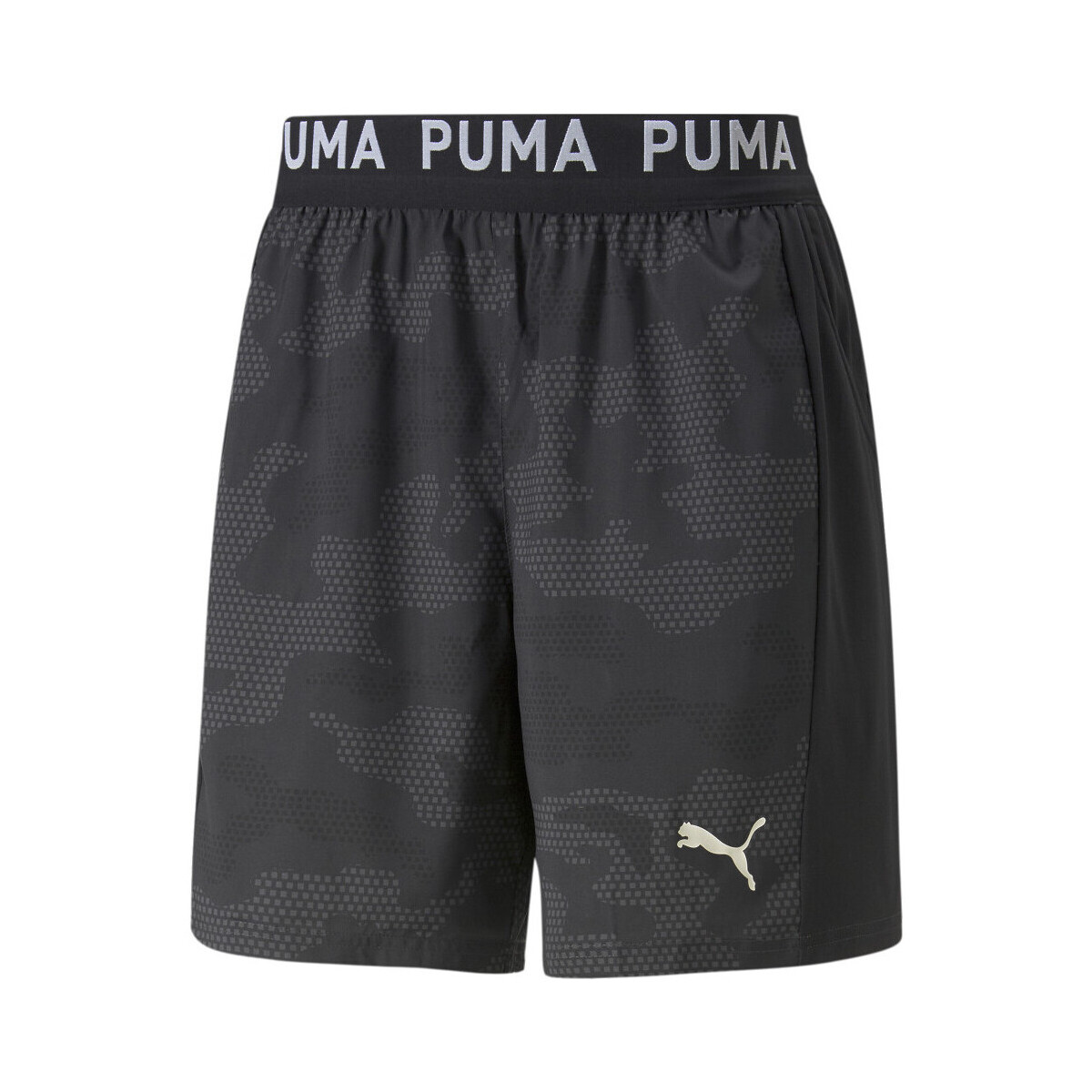 Kleidung Herren Shorts / Bermudas Puma 522359-01 Schwarz