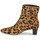 Schuhe Damen Low Boots Lauren Ralph Lauren WILLA-BOOTS-BOOTIE Cognac